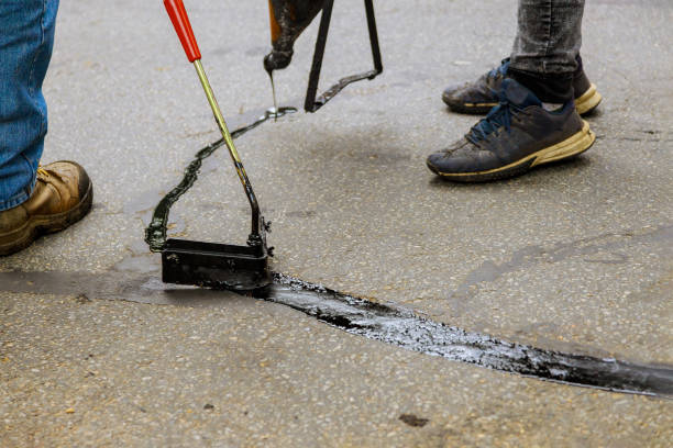 Best Driveway Pressure Washing  in Champlin, MN